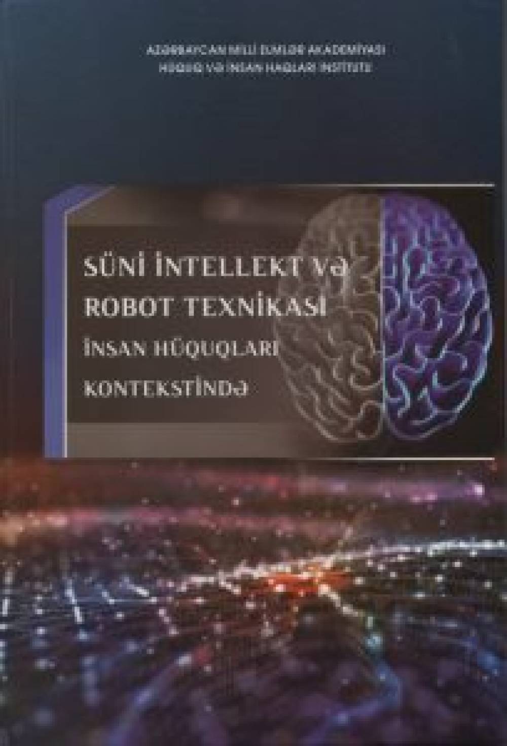Collection “Artificial Intelligence and Robotics labs in the Context of Human Rights”